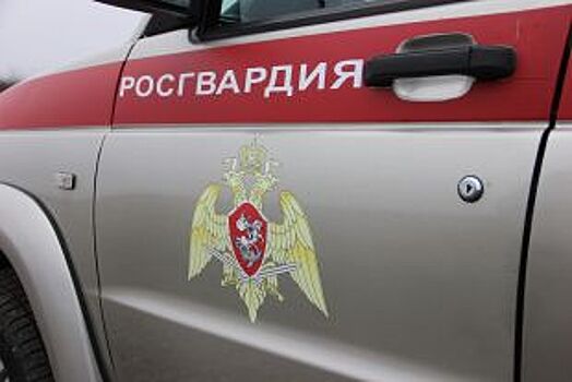 В Петербурге наркоторговец спрятался от полиции в сугробе