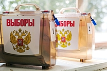 Видео с массовым подвозом избирателей на участок во Владимире оказалось фейком