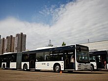 В Соколиной горе автобус №88 заменяет троллейбус