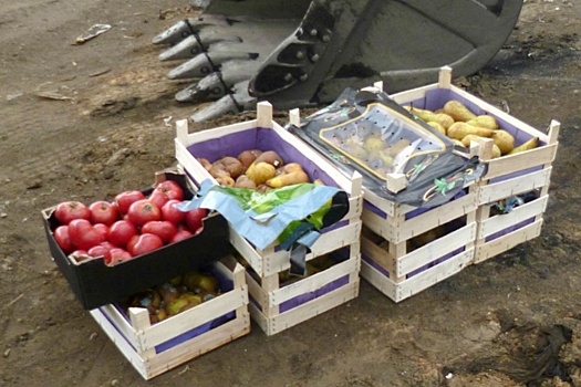 У предпринимателя отобрали 85 килограммов томатов и груш и раскатали их на «Скоково»