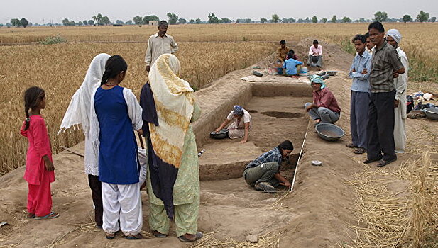 В Индии начали выращивать рис 4,5 тысячи лет назад