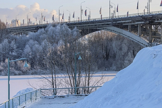 Фенолог объяснил причину аномально снежного января в Нижегородской области