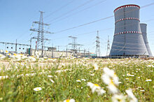 Иран и Россия начали строить второй энергоблок АЭС "Бушер"