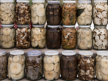 Ученая Гладких предупредила об опасности маринования грибов вместе с другими продуктами