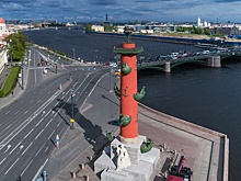 В Петербурге продезинфицировали места, которые посещал первый в РФ заболевший оспой обезьян