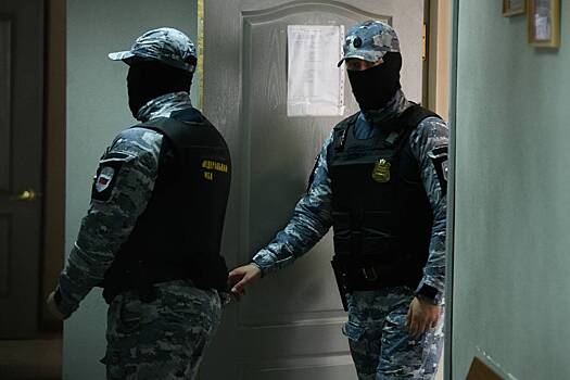 У жены экс-замминистра энергетики России захотели забрать украшения на миллионы рублей