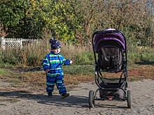 В РФ изменятся нормы получения пособий и субсидий