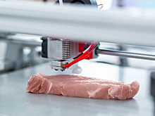 Что такое искусственное мясо и почему оно заменит обычное