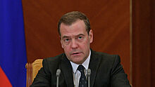 Медведев вручил благодарности правительства российским парламентариям