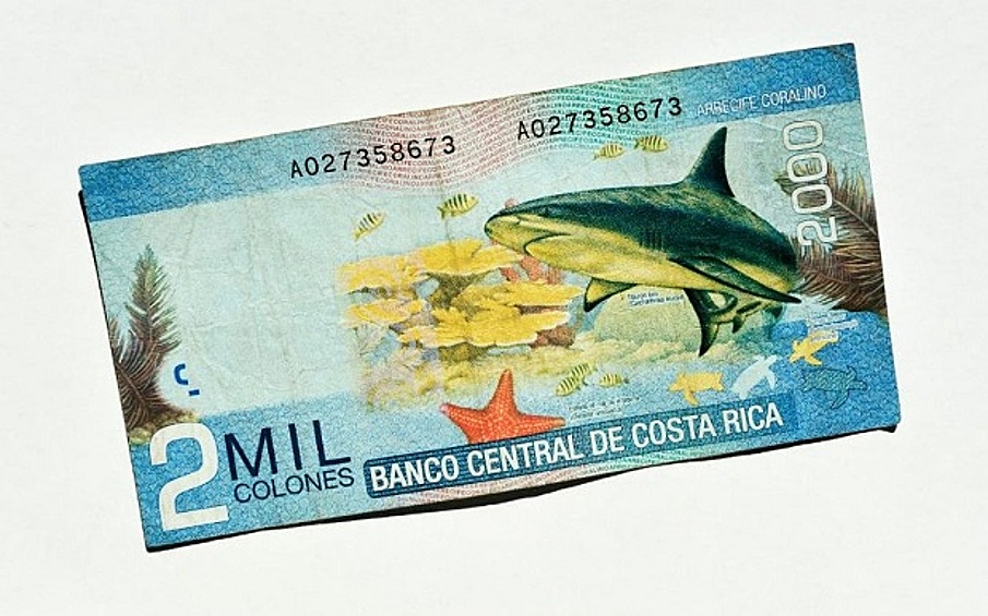 Национальной денежной единицей Коста-Рики является колон, названный в честь Христофора Колумба, имя которого на испанском звучит как Кристобаль Колон. На купюре номиналом в две тысячи изображен коралловый риф, акула и морские звезды