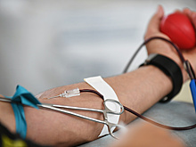 На форуме "Машук" прошла донорская акция