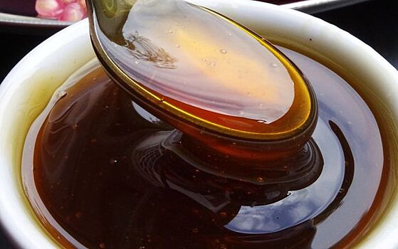 Австралийский мед оказался эффективнее антибиотиков