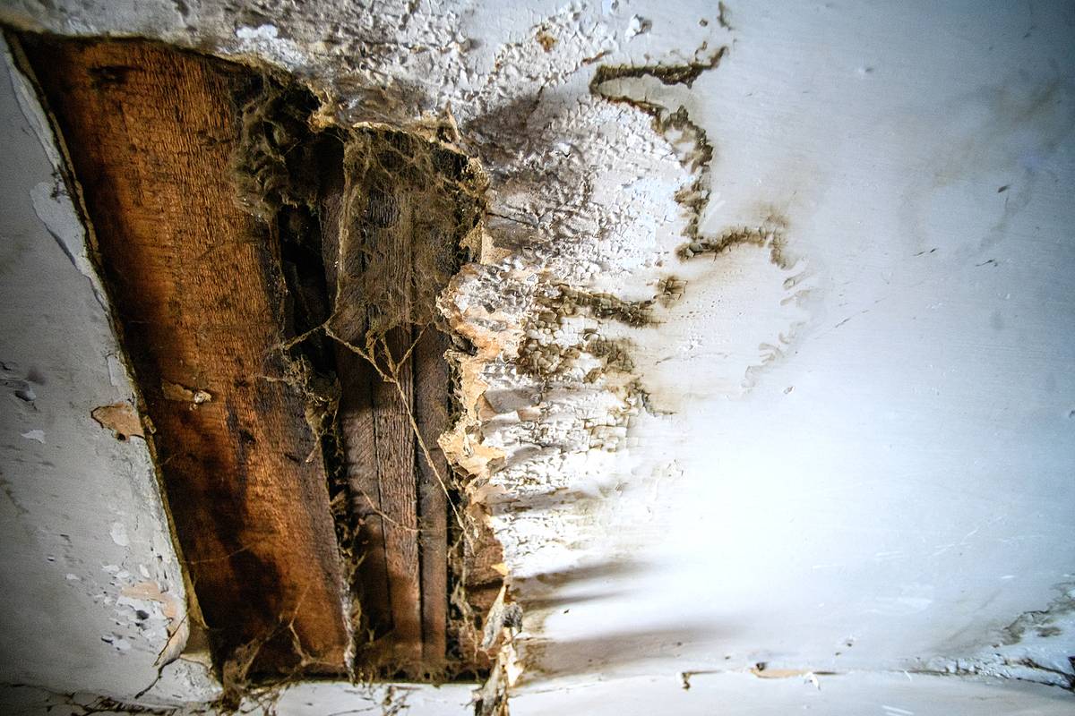 В российском городе на пенсионера обрушился кусок потолка