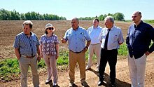 Депутаты ОЗС оценили ход весенне-полевых работ в Котельничском районе