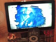 Ветеран МВД задержал вора, спрятавшегося в шкафу, чтобы украсть телевизор