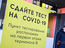 Туроператоров Кубани успокоили тем, что здоровье дороже денег