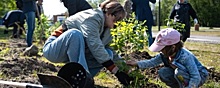 В рамках акции «Сад памяти» жители Хабаровского края высадили 8000 деревьев