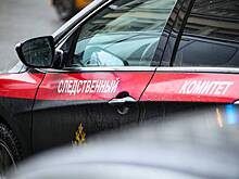 Бастрыкин повторно проверит жалобы россиян на состояние дома