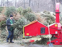 Елкамобиль и волку на зубок: как в регионах избавляются от новогодних елок