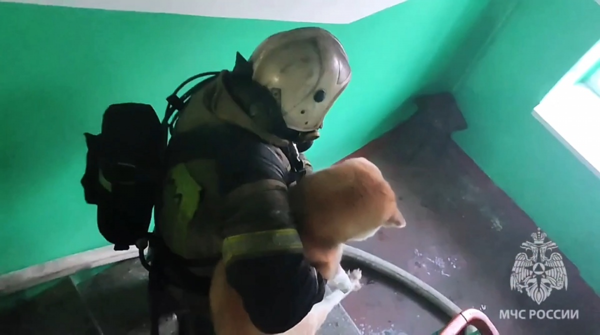 Двух человек и собаку спасли на пожаре из-за самогонного аппарата в Дзержинске