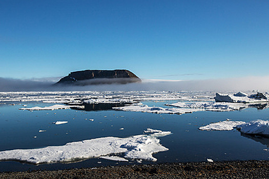 Российские ученые изучат продолжительность жизни в Арктике