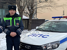 В Чите инспекторы ДПС и зоозащитники помогли вернуться домой потерявшейся собаке