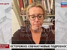 Собчак извинилась перед семьей погибшей в ДТП Екатерины Тарасовой