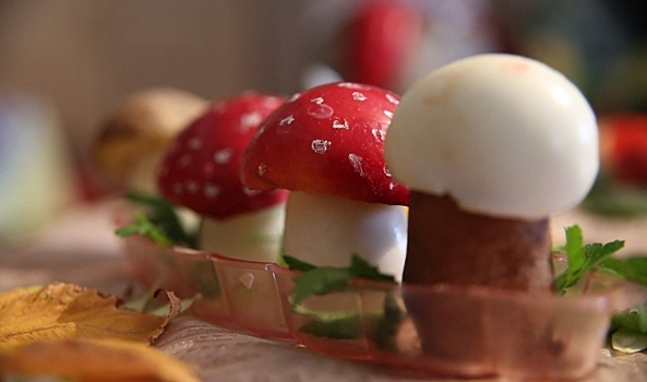 В Волгоградской области прошел полуфинал конкурса «Кухня без границ»