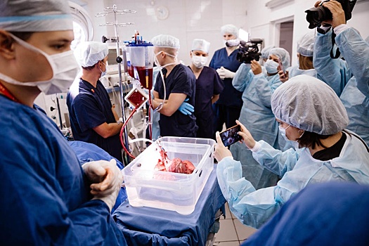 В Новосибирске разработан новый способ сохранения донорского органа