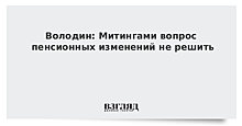 Володин: митингами вопрос пенсионных изменений не решить