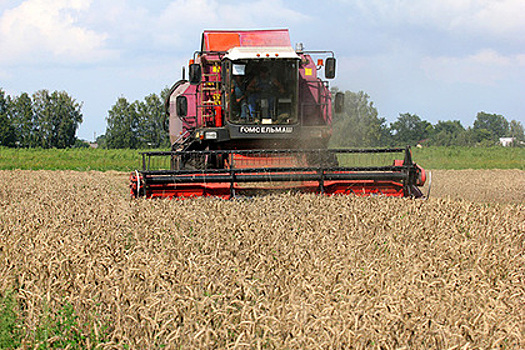 Свыше 260 тысяч тонн зерновых культур убрали в Подмосковье