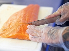 В Волгограде размороженную форель выдали за охлажденную