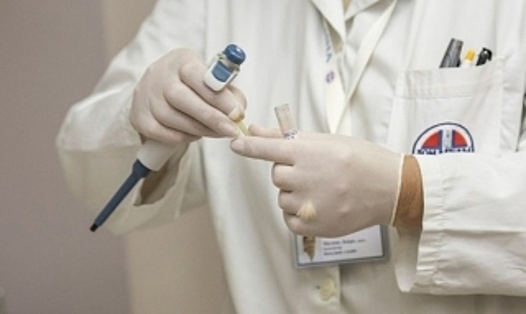 Морской огурец сильнее химии. Ученые нашли способ убивать раковые клетки