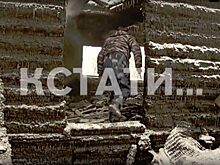 Концлагерь для собак сожгли в Нижнем Новгороде