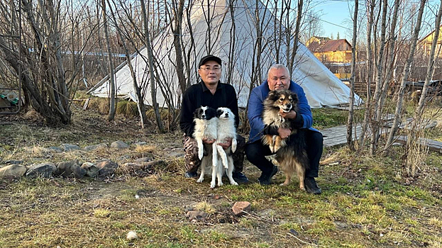 Депутат ЗакСа ЯНАО Яунгад побывал в первом арктическом центре разведения лаек. ВИДЕО