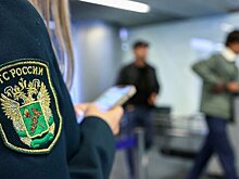 Таможенники в Домодедово обнаружили у пассажира психотропные препараты для продажи