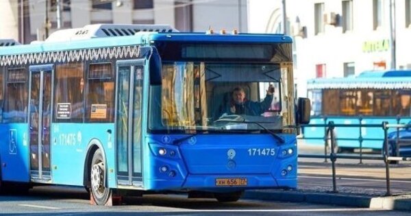 Главное преимущество автомобильного транспорта