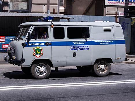 В Артеме задержаны грабители, попытавшиеся подраться с полицейскими в ходе задержания