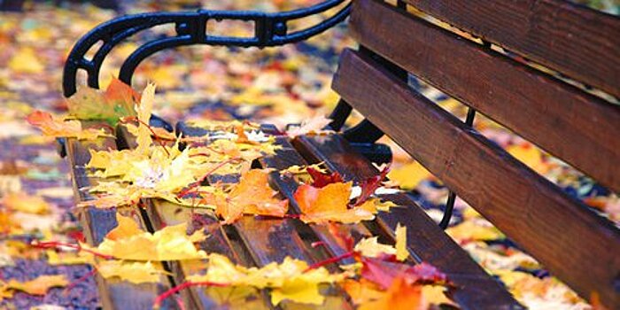 Фотохроника: Супергеройский забег и фестиваль грузинской культуры