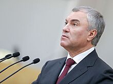 Володин поддержал инициативу о запрете смены пола без проведения хирургической операции