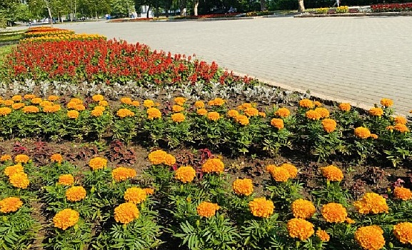 В Курчатовском районе активнее поливают клумбы и цветники из-за жары