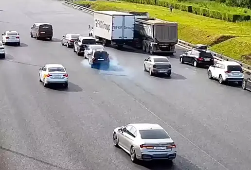 Утки спровоцировали массовую аварию на МКАД