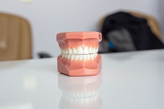 Стоматолог рассказал, как вегетарианство влияет на здоровье зубов