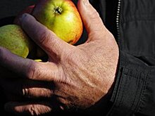 Сколько продуктов способен запасти Крым