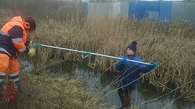 Превышения по 6 показателям: Росприроднадзор вычислил, откуда в реку Зеленоградска попадают губящие рыбу стоки