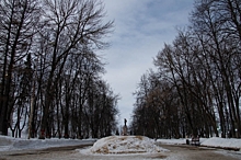 Благоустройство Центрального парка в Костроме предложили остановить