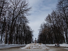 Благоустройство Центрального парка в Костроме предложили остановить