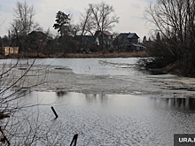 В Курганской области из-за паводка река затопила улицу