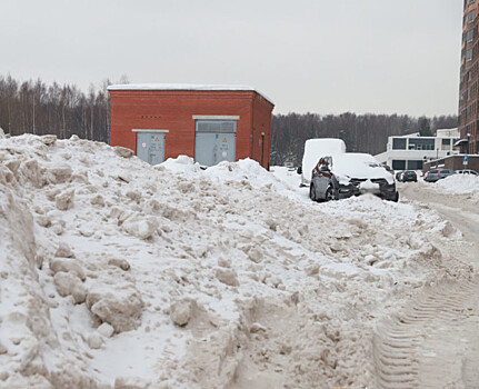 Жители петербургского ЖК самостоятельно организовали уборку территорий от снега после ЧП с молодой матерью