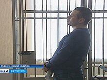 Виновник гибели семейной пары под Воронежем снова попросил о досрочном освобождении